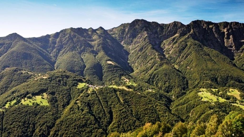 Rovere Losone Exteriér fotografie
