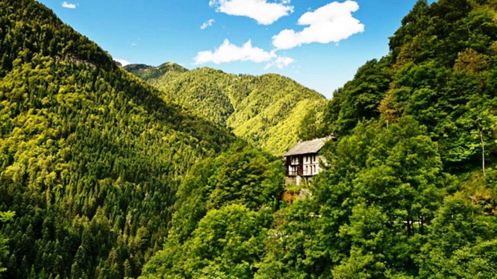 Rovere Losone Exteriér fotografie