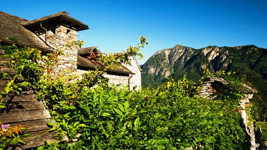 Rovere Losone Exteriér fotografie