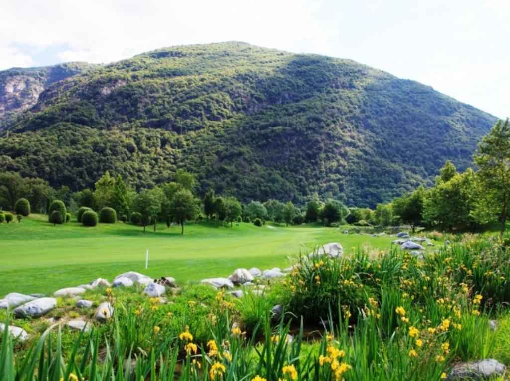 Rovere Losone Exteriér fotografie